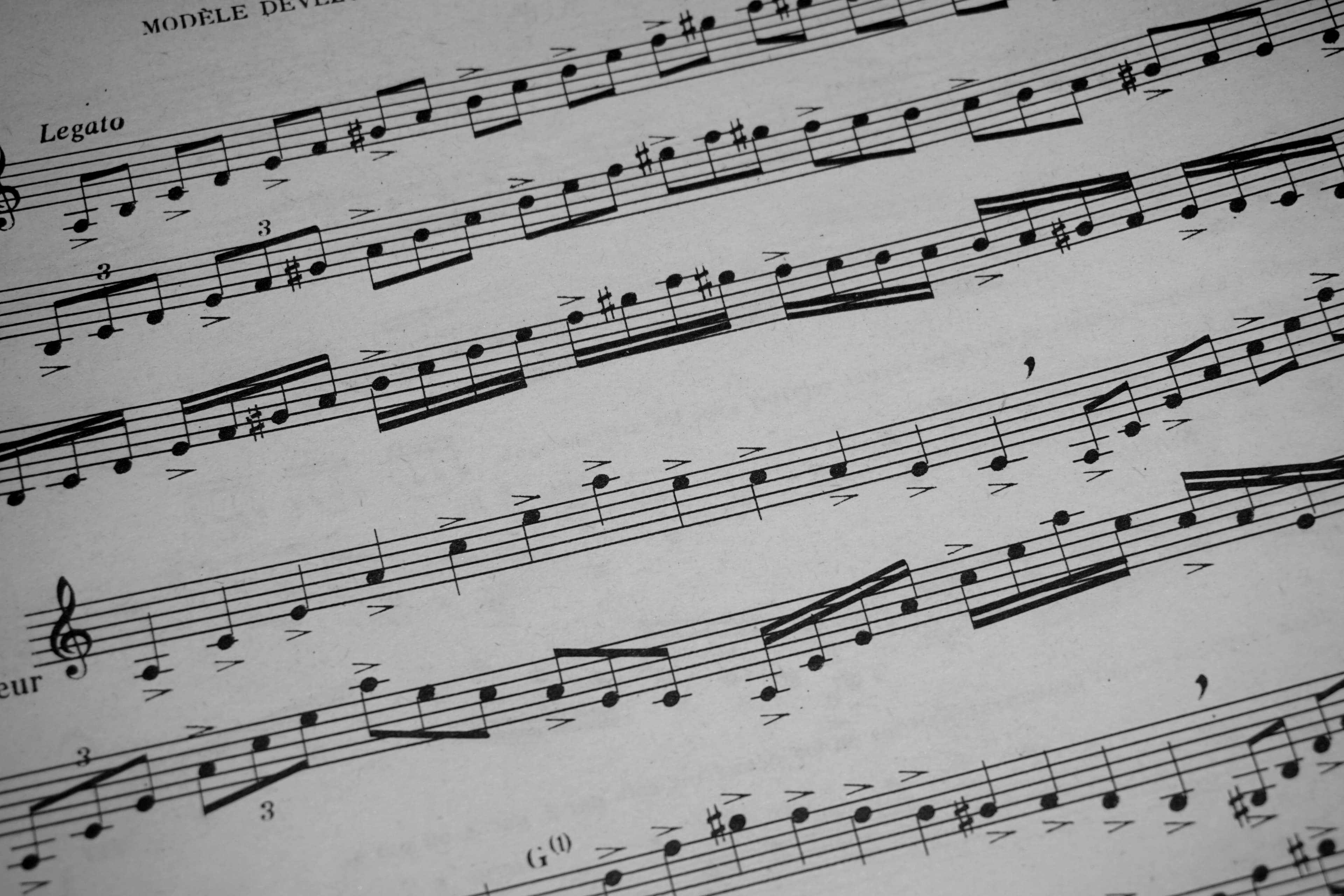  The Power of the Foundation: What is Solfège and Why is it Indispensable for a Musician?